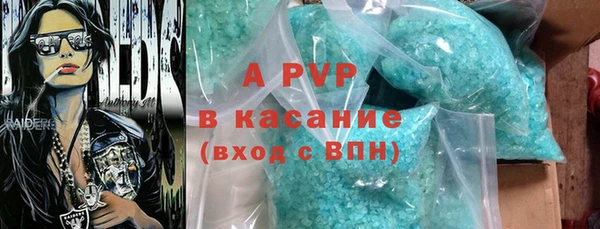 гидра Новодвинск