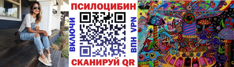 mega ссылка  Эртиль  Псилоцибиновые грибы мухоморы 